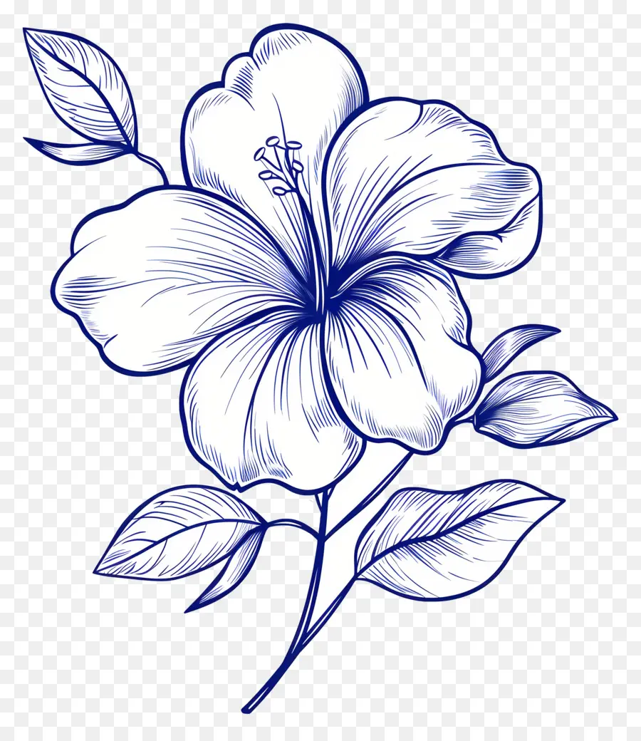 çiçek，Hat Sanatı PNG