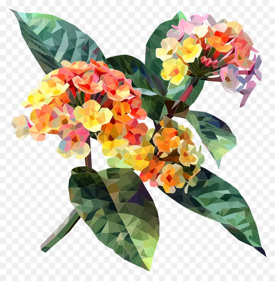 Dijital çiçek Sanatı，Lantana Çiçekleri PNG