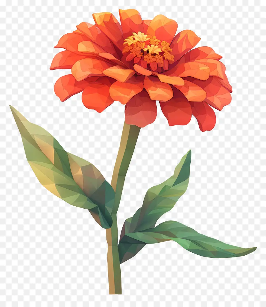 Dijital çiçek Sanatı，Portakal çiçeği PNG