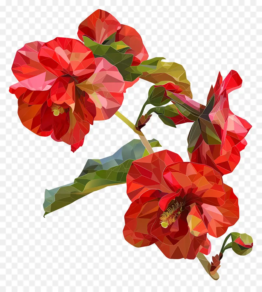 Dijital çiçek，Kırmızı Hibiscus çiçekleri PNG