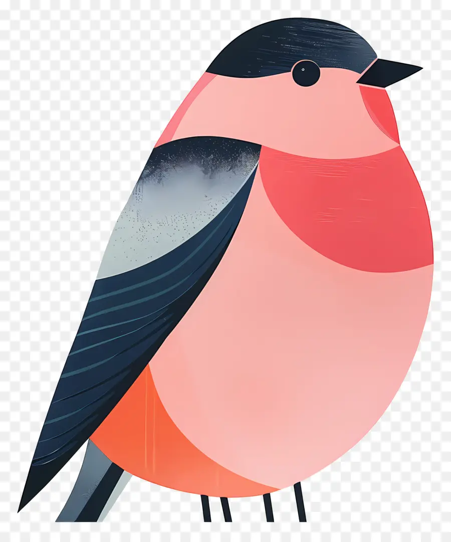 Kuş，Redcrested Kardinal PNG