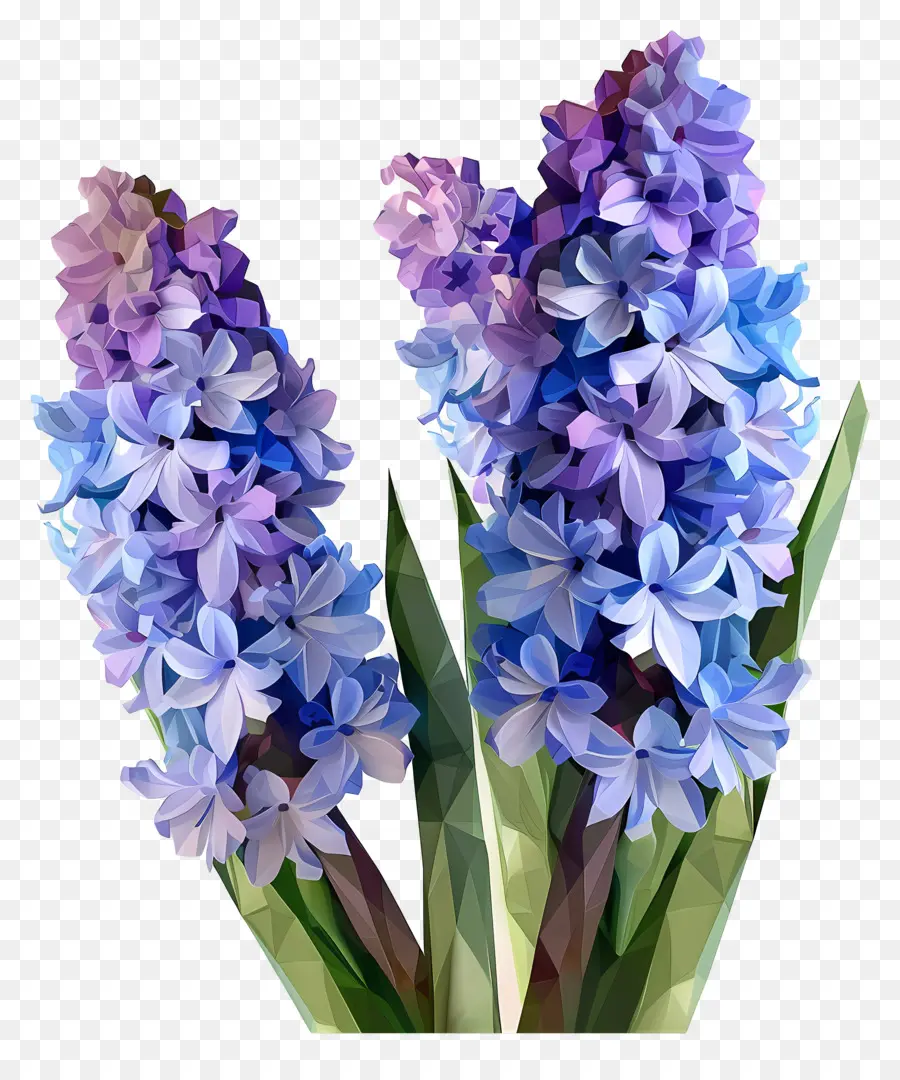Dijital çiçek，Mor Sümbül PNG