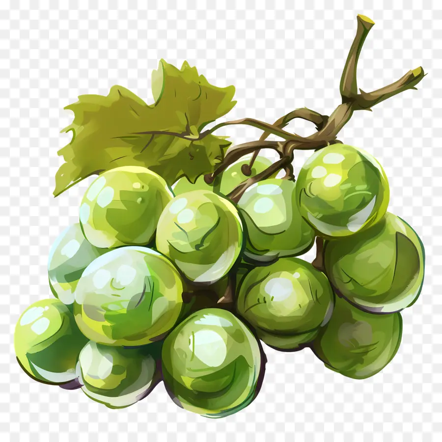 Yeşil üzüm，Sulu PNG