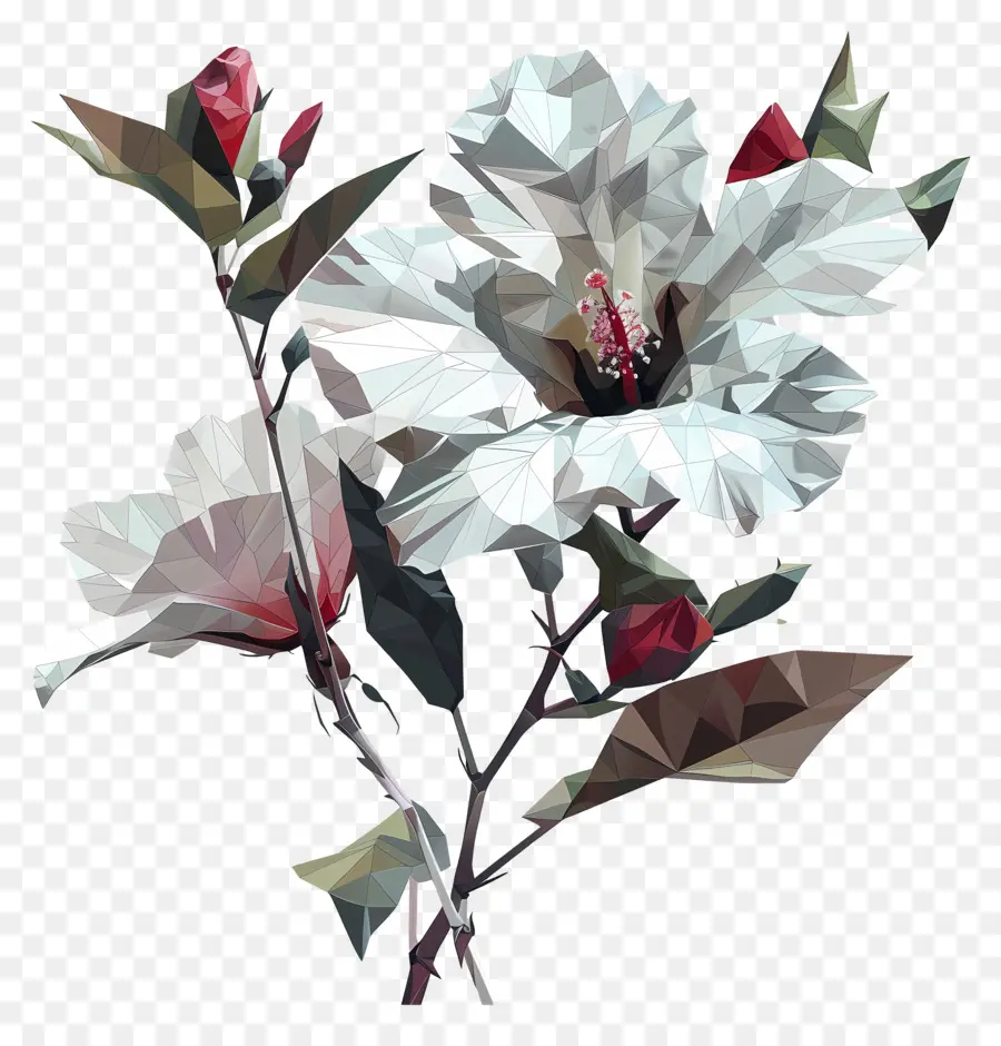 Dijital çiçek Sanatı，Hibiscus çiçek PNG