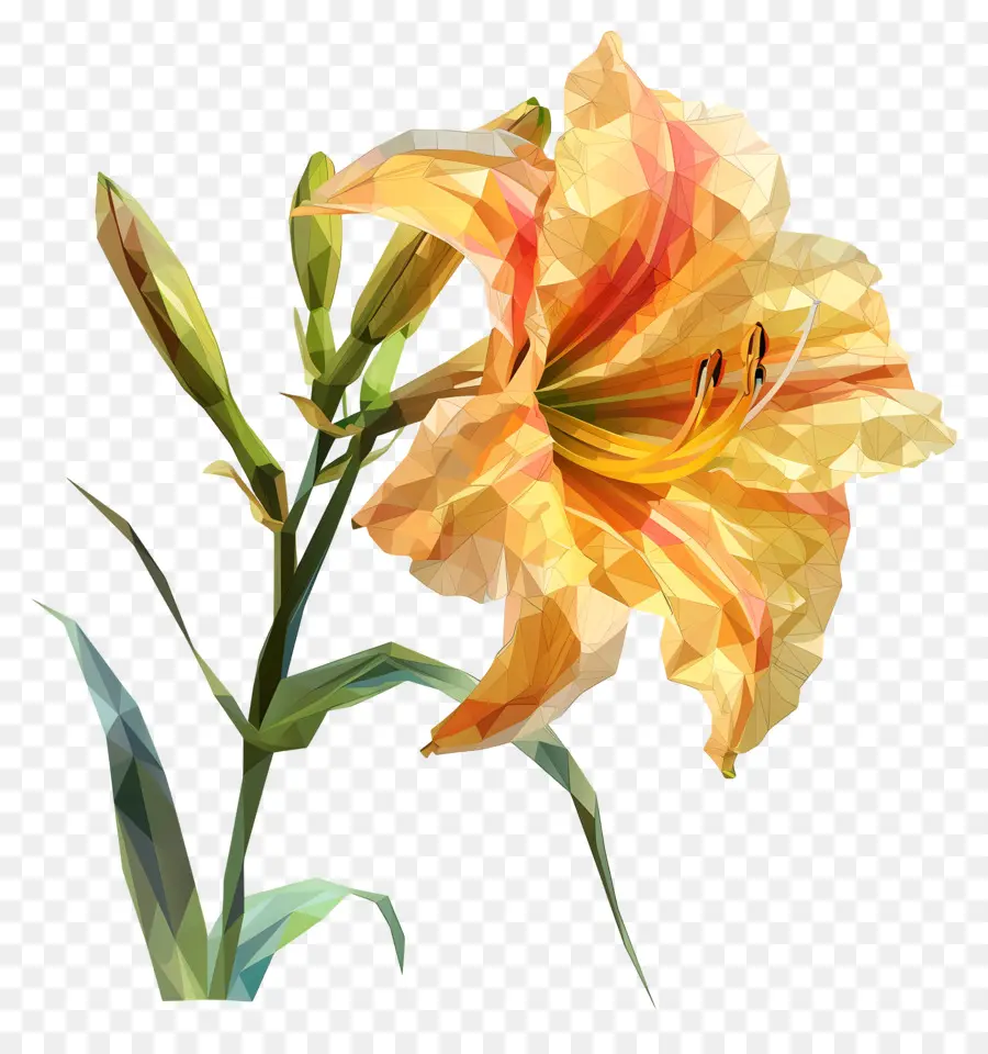 Dijital çiçek，Sarı Daylily PNG