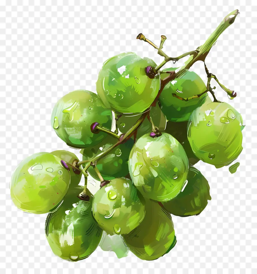 Yeşil üzüm，üzüm PNG