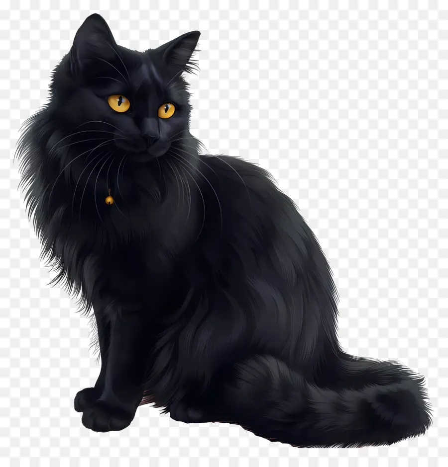 Siyah Kedi，Turuncu Gözler PNG
