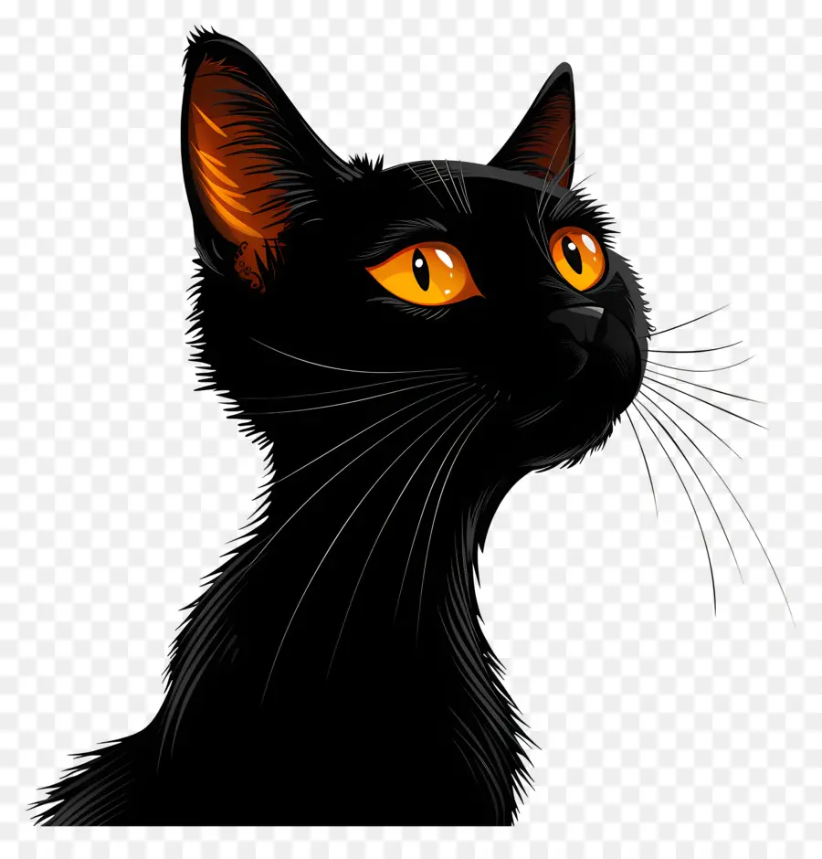 Siyah Kedi，Turuncu Gözler PNG