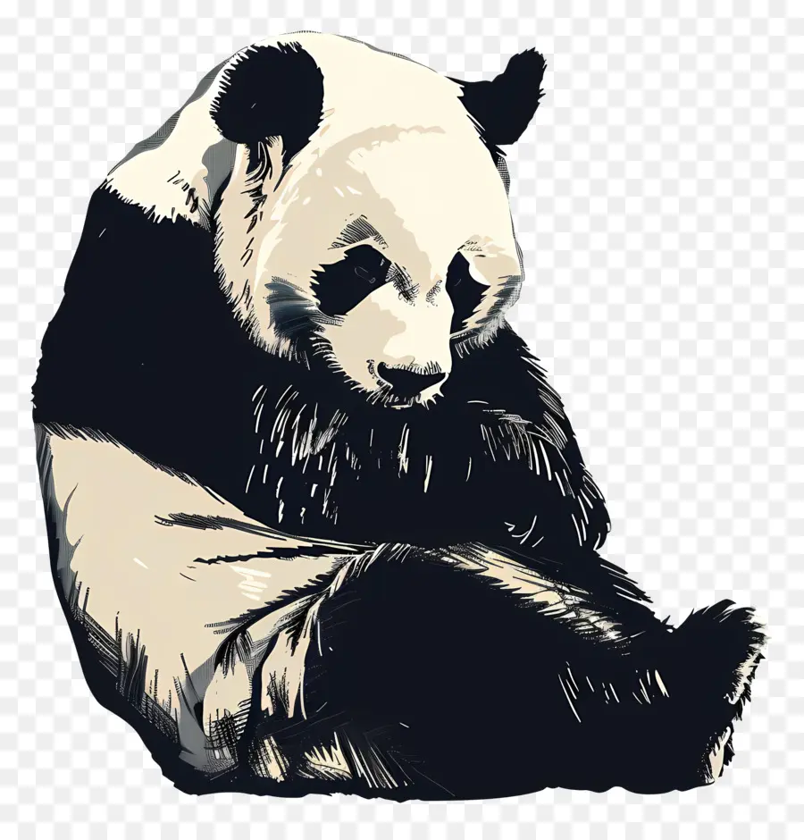 Panda，Siyah PNG