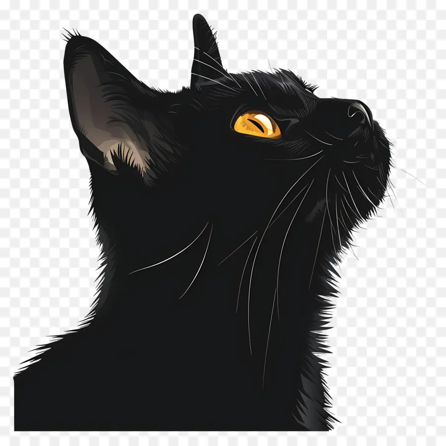 Siyah Kedi，Sarı Gözler PNG