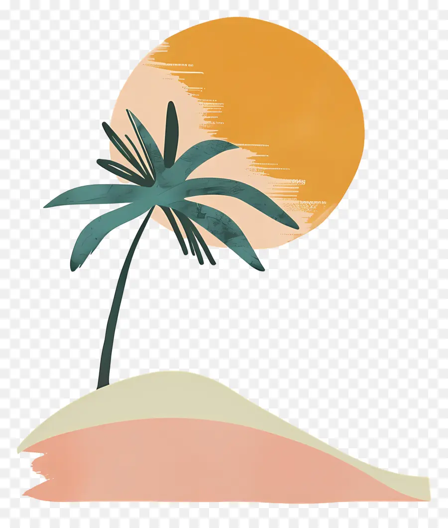 Yaz，Palmiye Ağacı PNG