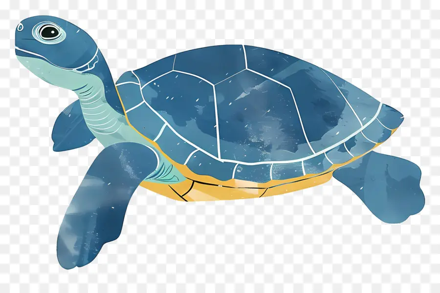 Karikatür Kaplumbağa，Mavi Deniz Kaplumbağı PNG