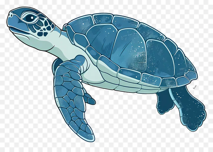 Karikatür Kaplumbağa，Mavi Kaplumbağa PNG