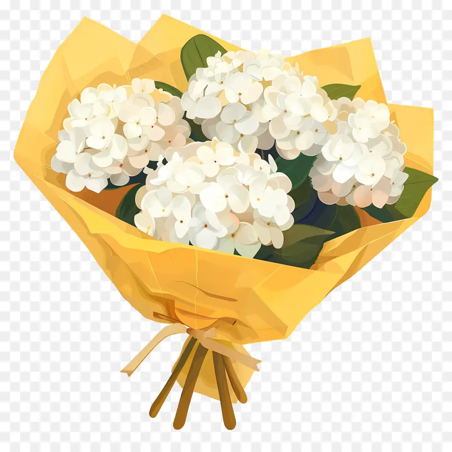 Beyaz Ortanca，Beyaz çiçekler PNG
