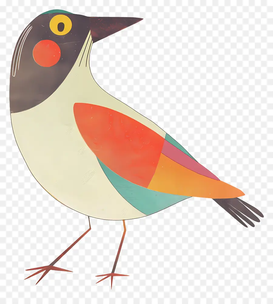 Kuş，Turuncu PNG