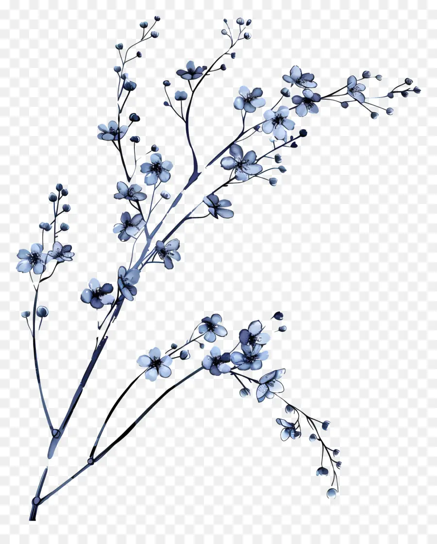 Mavi çiçekler，Sakura çiçek PNG