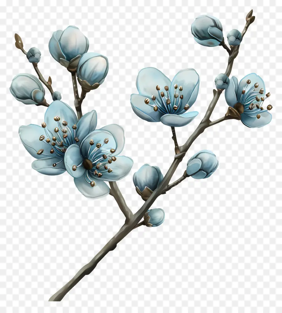 Mavi çiçekler，Şube PNG