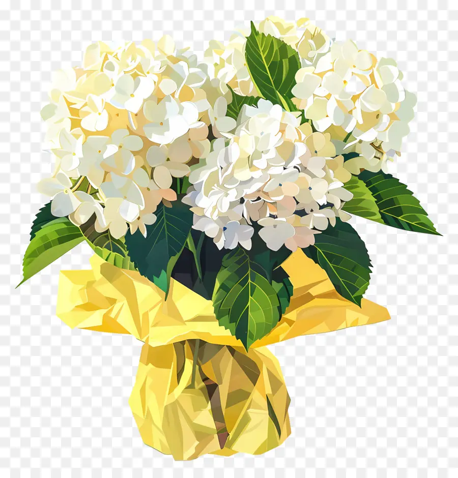 Beyaz Ortanca，çiçek PNG