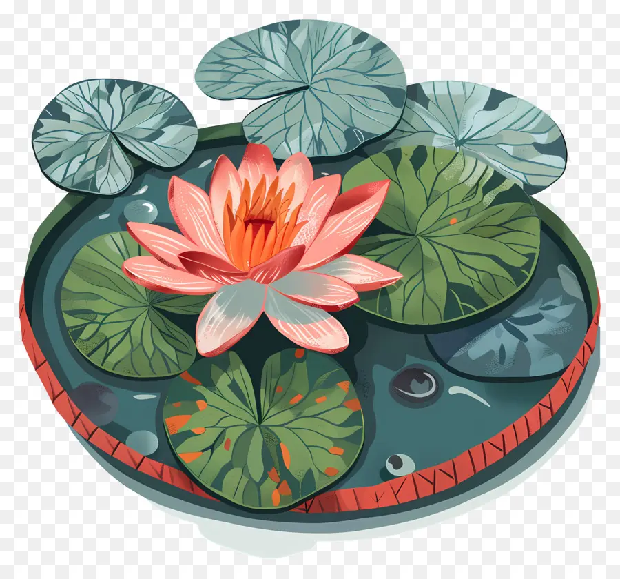 Hüseyin Pektaş，Lotus çiçeği PNG