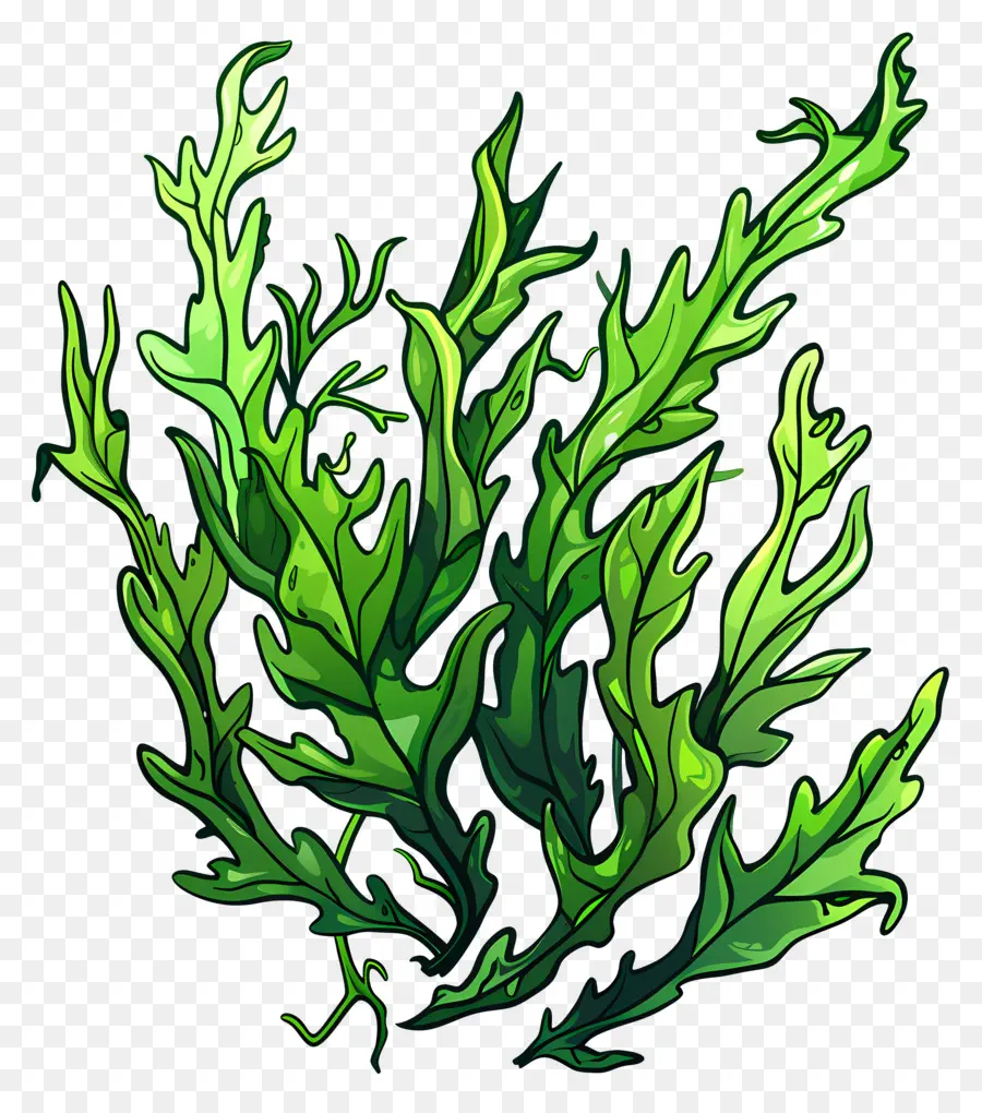 Sualtı Deniz Yosunu，Yeşil Bitki PNG