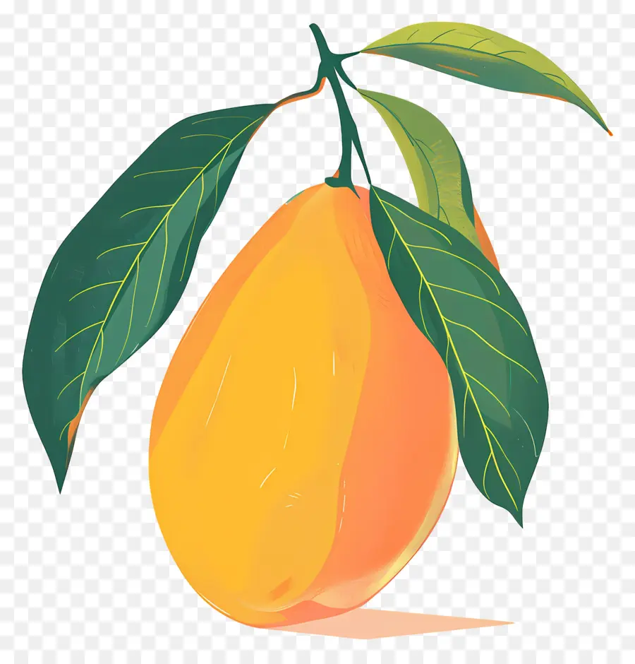 Mango，Meyve PNG