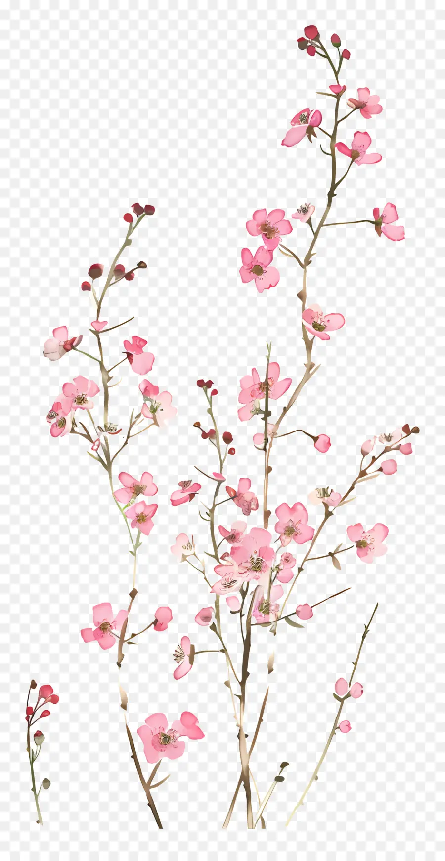 Pembe çiçekler，çiçek Buketi PNG