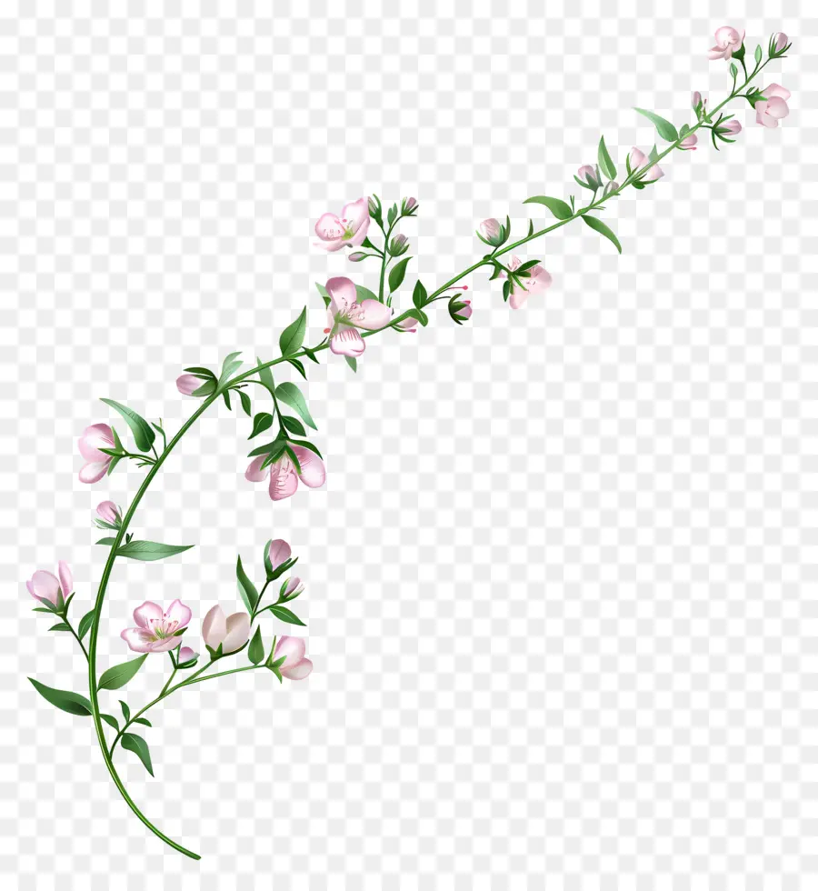 Pembe çiçekler，Şube PNG