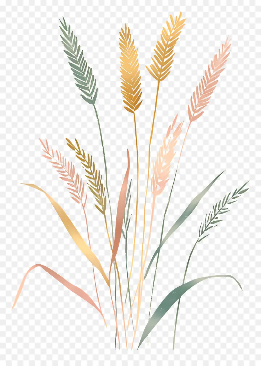 Buğday，Uzun Boylu Bitkiler PNG