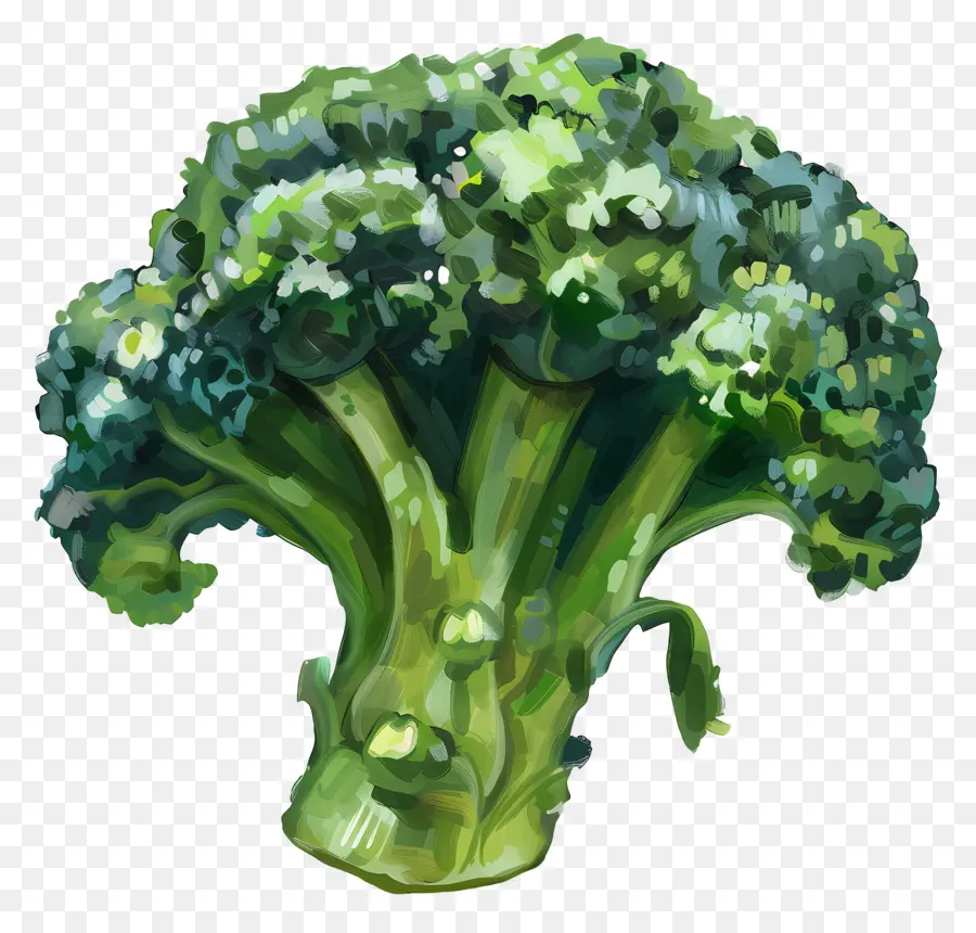 Brokoli，Taze PNG