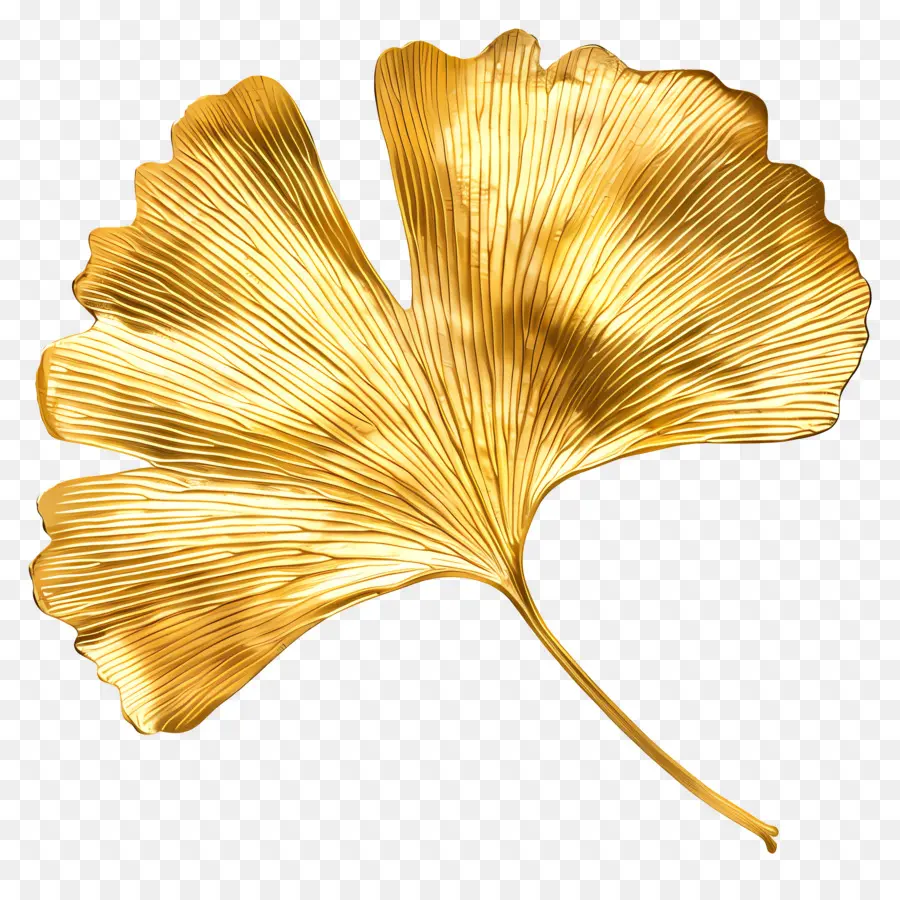 Altın Ginkgo Yaprağı，Altın Yaprak PNG