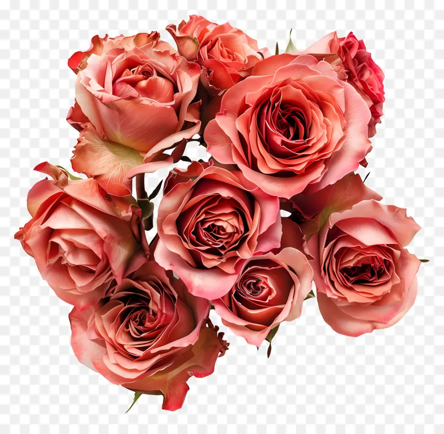çiçek Yığını，Pembe Güller PNG
