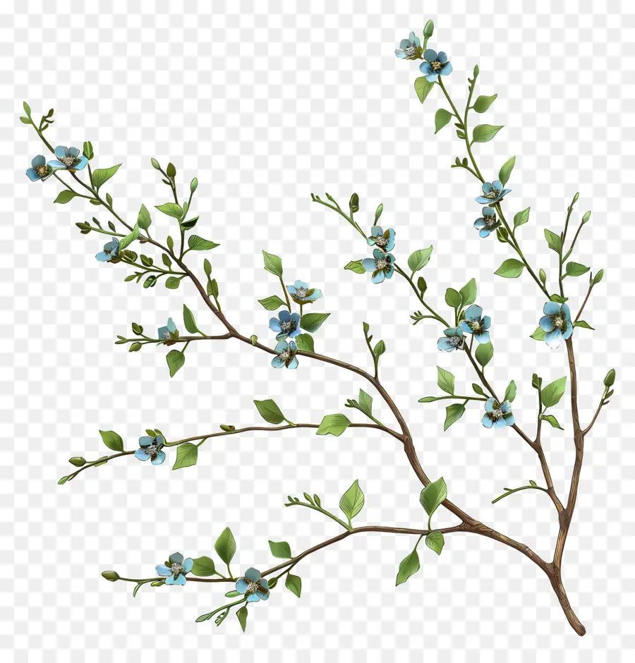 Mavi çiçekler，Şube PNG