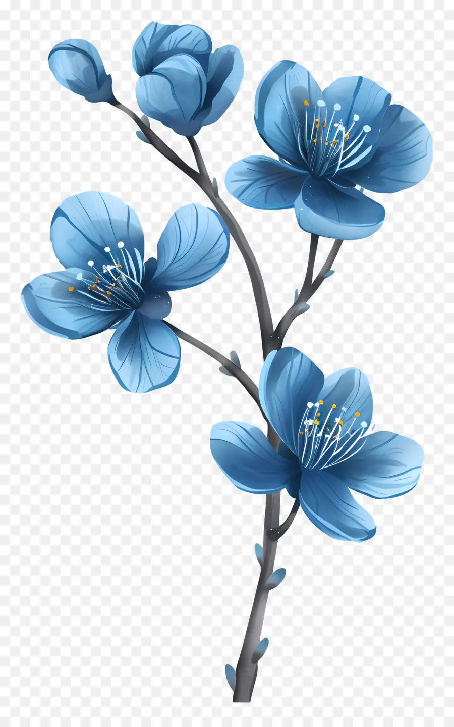 Mavi çiçekler，Mavi çiçek PNG