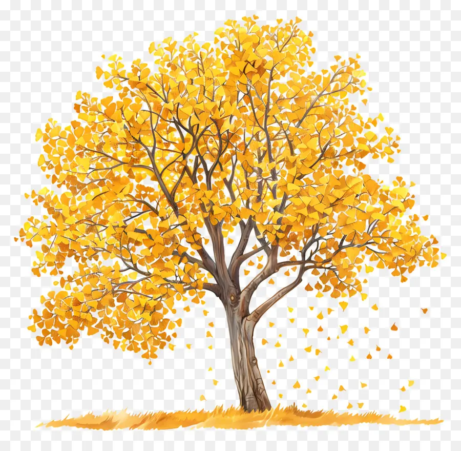 Sonbahar Ginkgo Ağacı，Ağaç Kroki PNG