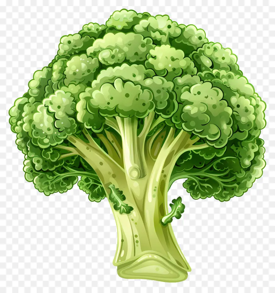 Brokoli，Brokoli Bitkisi PNG
