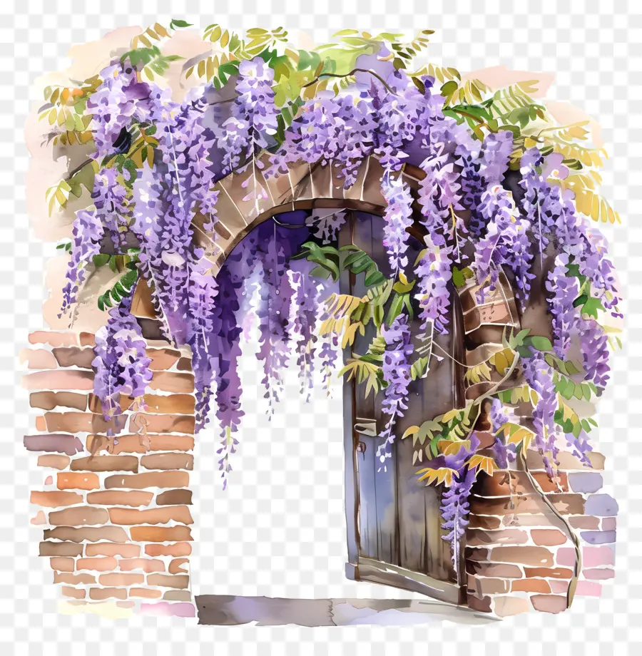 Asma Wisteria，Suluboya Wisteria PNG