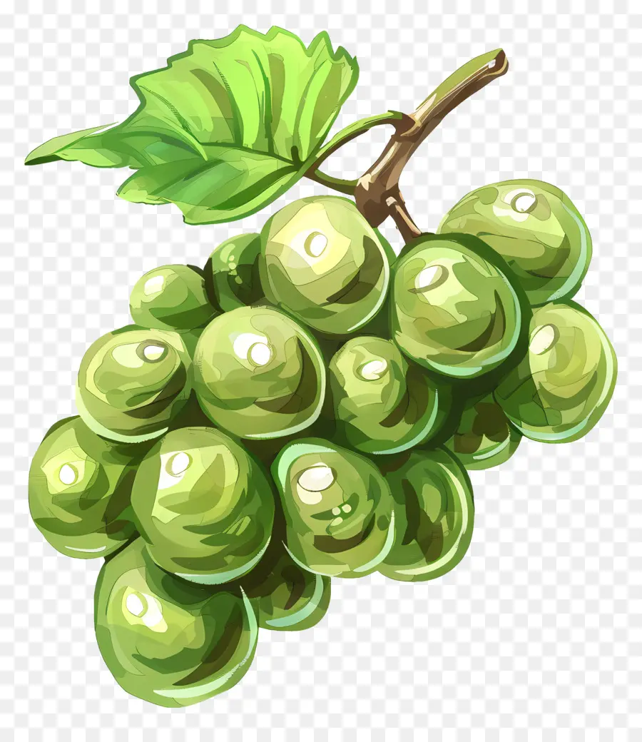 üzüm，Yeşil üzüm PNG