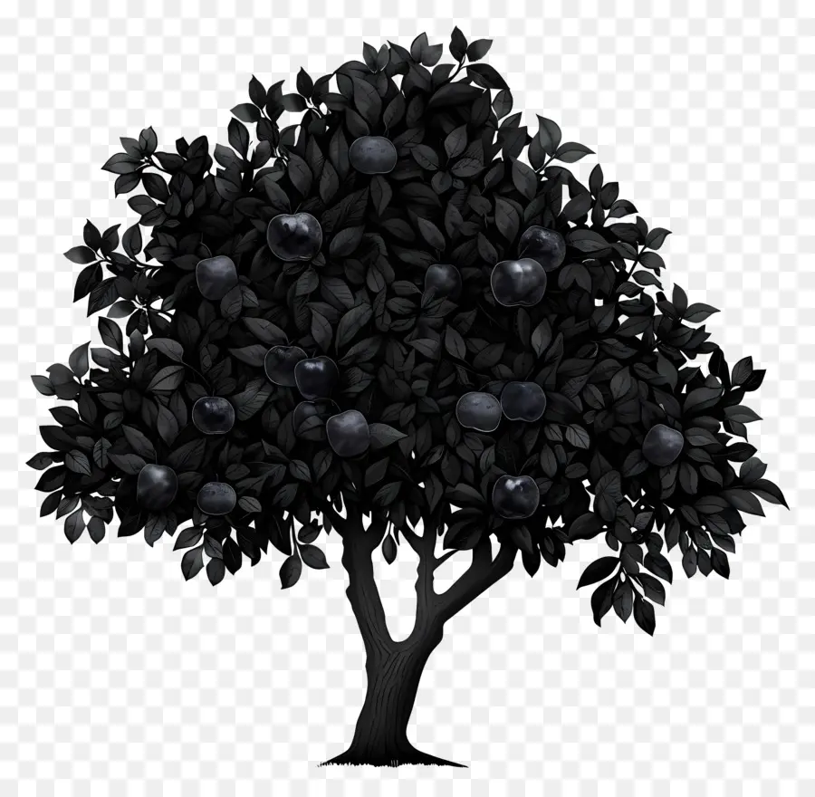 Siyah Elma Ağacı，Böğürtlen PNG