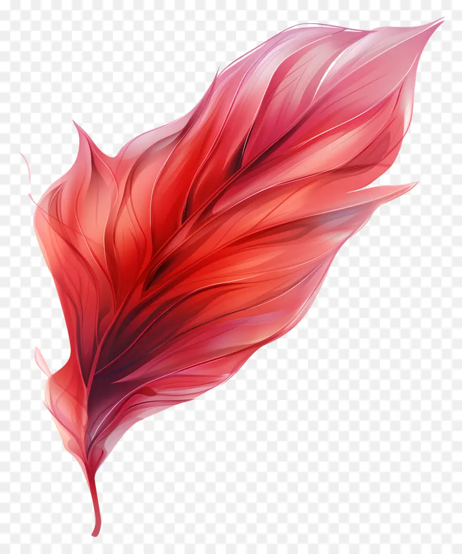 Kırmızı Yaprak，Kırmızı Tüy PNG