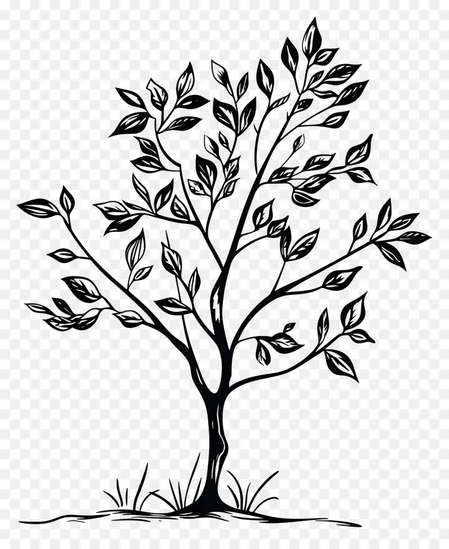 Basit Siyah Ağaç，Siyah Ağaç PNG