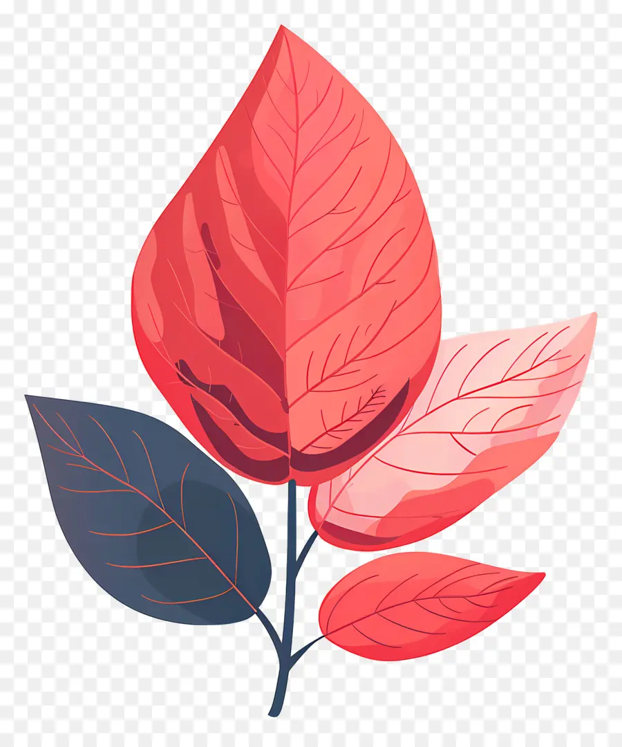 Kırmızı Yaprak，Sonbahar Yaprakları PNG