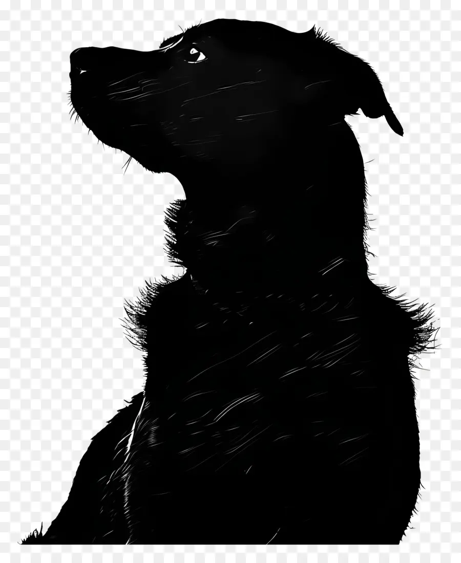 Köpek Siluet，Profil Görünümü PNG