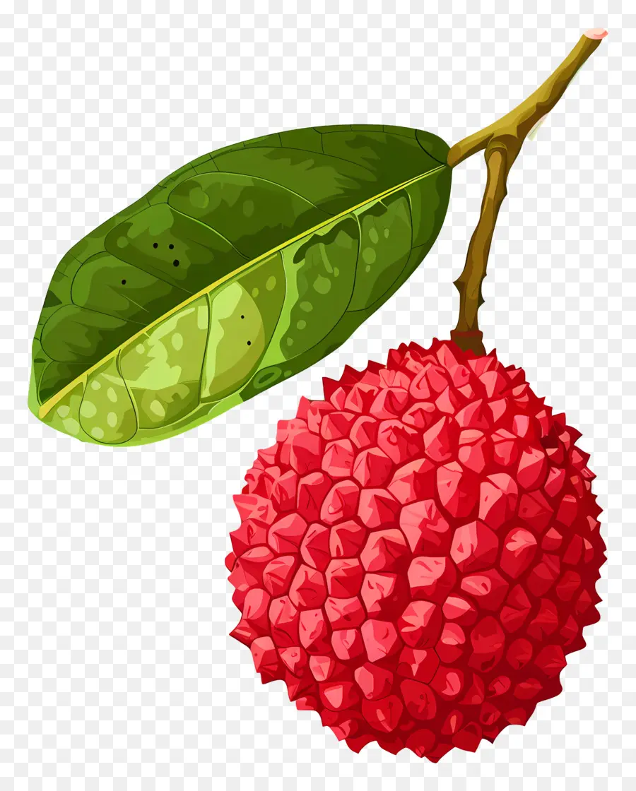 Lişe，Dragonfruit PNG