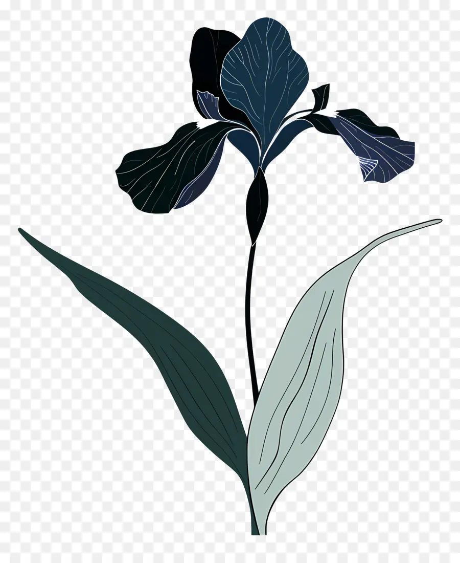 ıris，Mavi İris Çiçek PNG