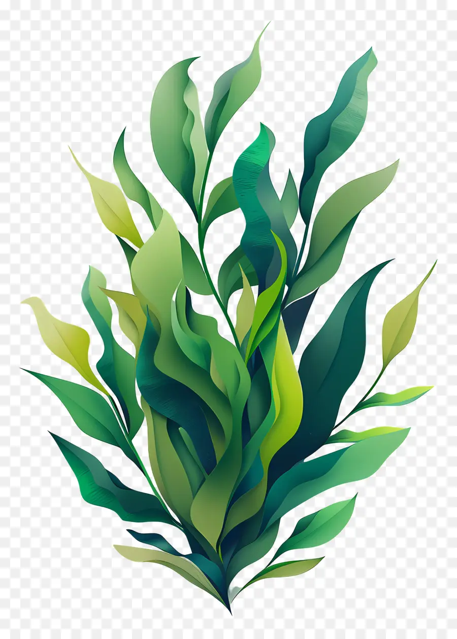 Kelp，Yeşil Bitki PNG