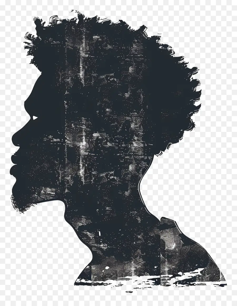 Baş Siluet，Afro Saç Modeli PNG