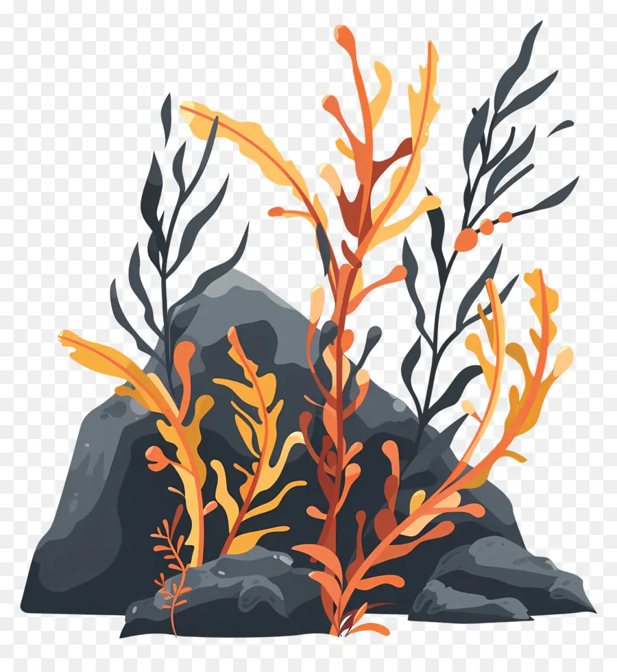 Kelp，Bitkiler PNG