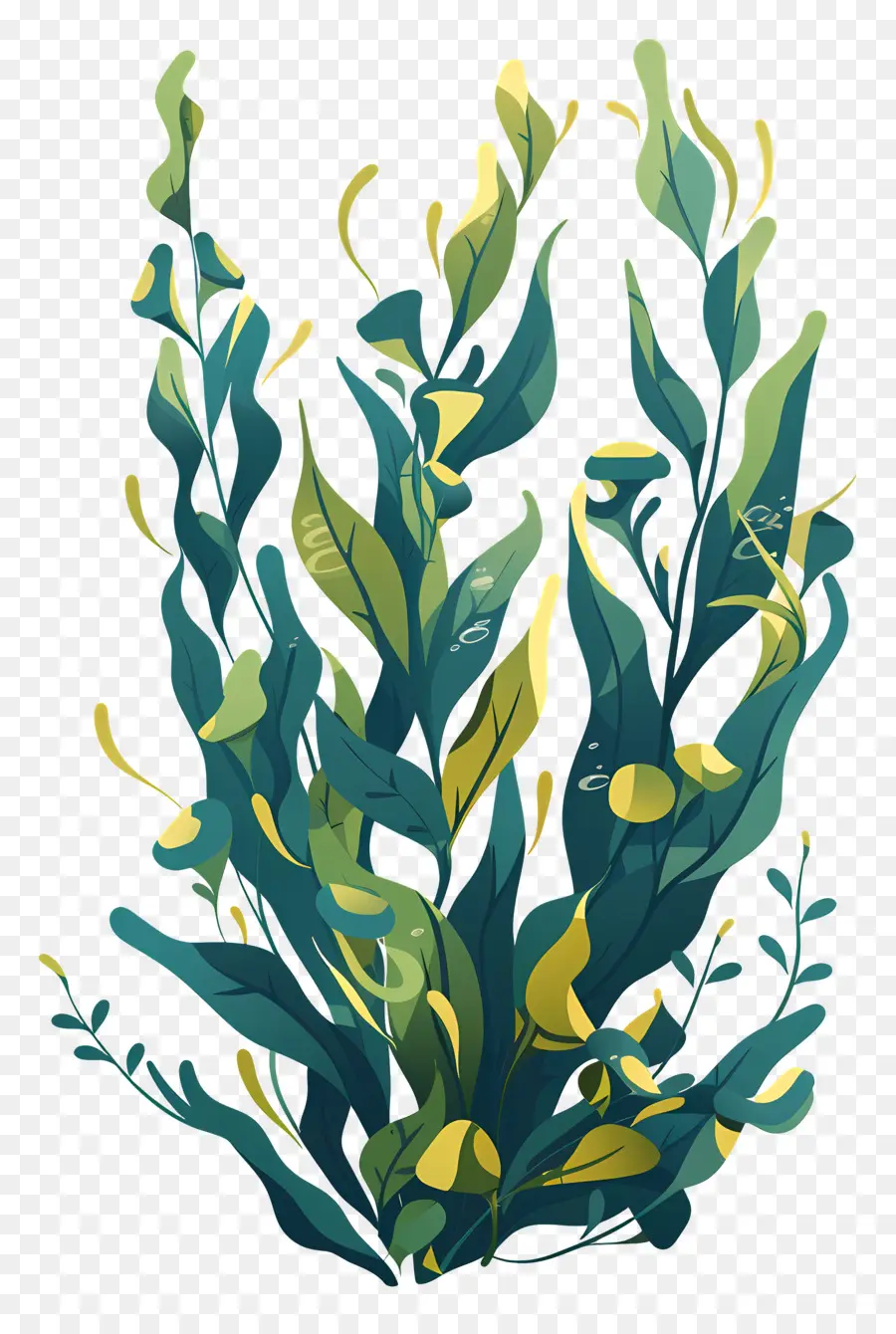Kelp，Su Bitkileri PNG