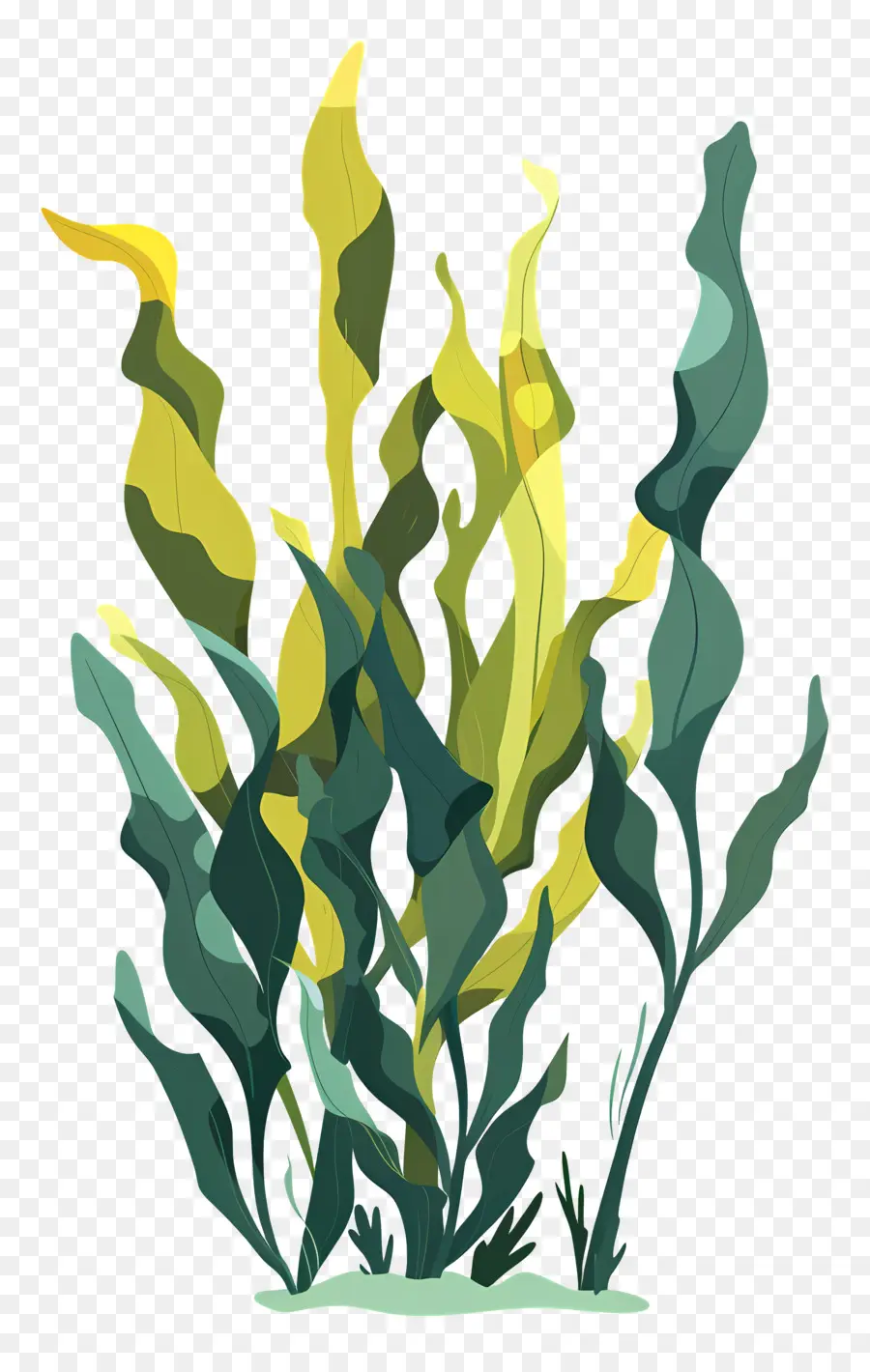 Kelp，Su Bitkileri PNG