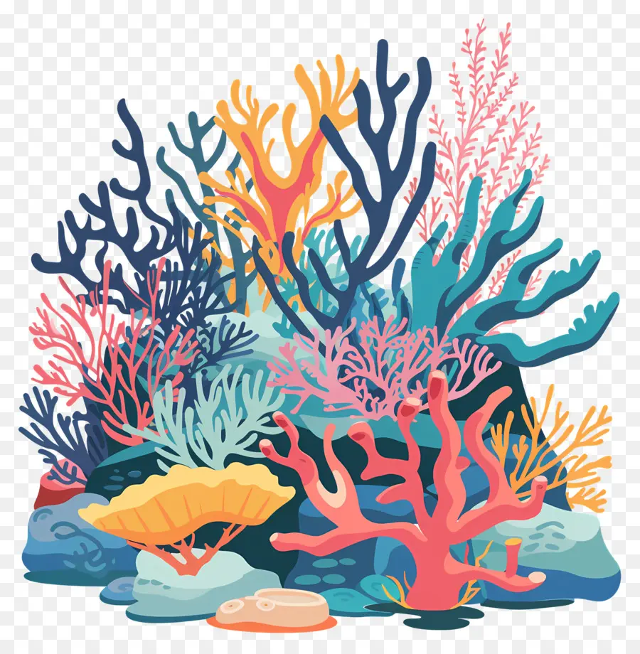Mercan Resifi，Deniz Canlıları PNG